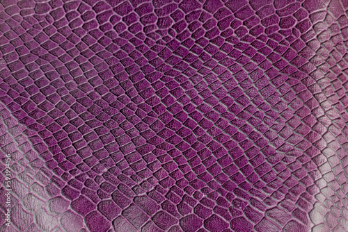 Purple crocodile leather texture background. Close up of snake skin.