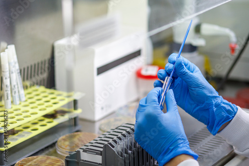 due mani con i guanti campioni delle azioni di ricerca di batteri in un laboratorio chimico 
