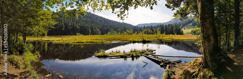 Explorez la beauté naturelle du lac de montagne de Lispach, La Bresse, Vosges, CeA, grand Est, France