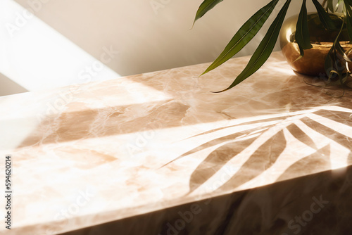 Elegant Marble Surface, Sunlit Palm, Luxury Cosmetics Display, Spa Backdrop, Skincare Setting