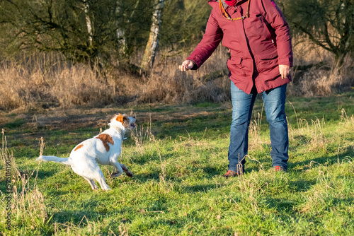 Hundetraining Frau übt mit Hund 