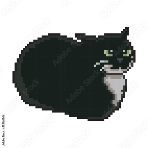 Black and white cat, pixel art meme