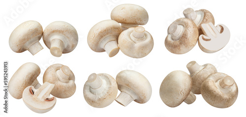 Collection of fresh champignon mushrooms, cut out