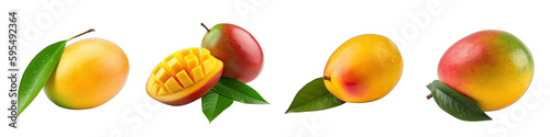 Set of mangoes on transparent background