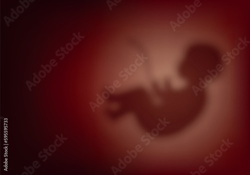 Blurred human embryo in the womb, pregnancy, obstetrics. Child in the womb. Concept for obstetric center or gynecologist, symbol of pregnancy and motherhood