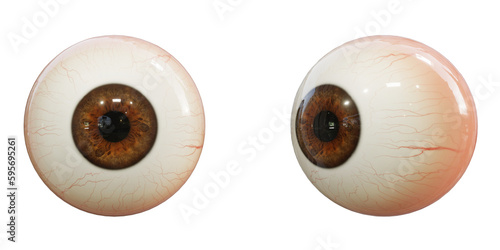 Human eyeball isolated on transparent background. 3D rendering