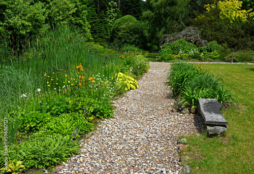 żwirowa ścieżka w ogrodzie, rośliny przy ścieżce w wiejskim ogrodzie, żwirowa alejka, garden path, funkia, irys i jarzmianka (Astrantia, hosta, Iris), wiosenne kwiaty, designer garden 