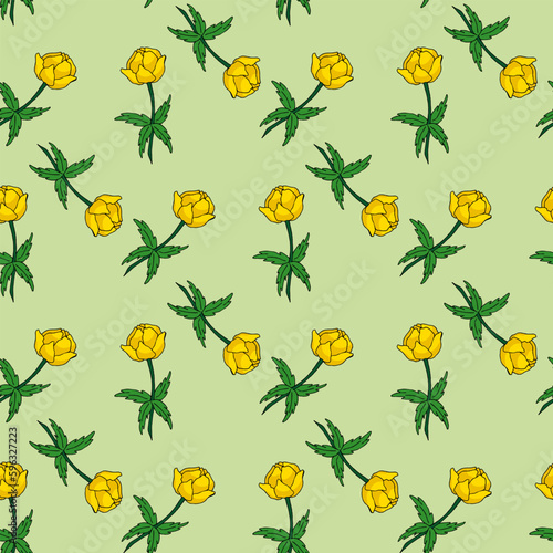 Seamless pattern with trollius on a light green background. Beautiful flowers. Vector image.