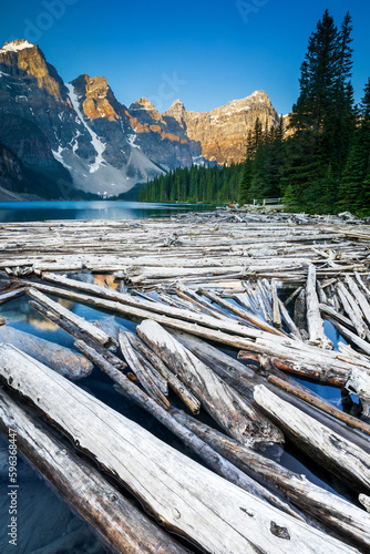 Moraine Lake with Logs, Banff National Park