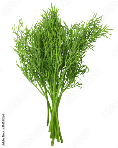 Dill isolated on white background, full depth of field