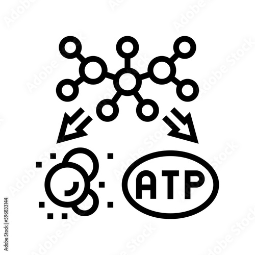 catabolism biochemistry line icon vector illustration