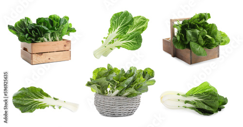 Collage with fresh pak choy cabbages on white background