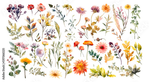 Set watercolor wild flowers, leaves and grass. Collection botanic garden elements. Vector isolated illustration in vintage style