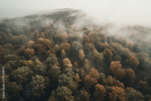 Aerial view of foggy forest with trees in the background. Generative AI