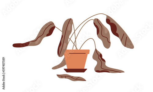 Dead withered plant in pot. Ailing dying droopy sick houseplant with wilted damaged dry leaves, dehydrated leaf. Result of bad wrong care. Flat vector illustration isolated on white background
