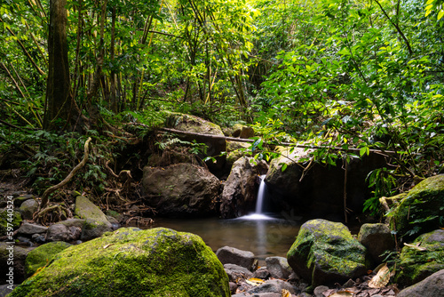 Couleuvre river panorama in the tropical rain forest of Martinique island (France) in the Caribbean sea. Typical bright green vegetation and small cascade in impressive landscape. Long time exposure.