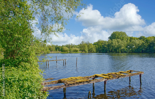 Grosser De Wittsee,Schwalm-Nette Naturpark,Niederrhein,NRW,Deutschland