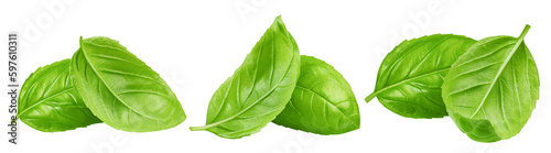 basil, isolated on white background, full depth of field