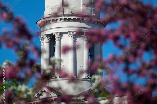 The Assumption or Dormition Cathedral tower pilasters in pink trees blossom on blue sky. Ukrainian Baroque architecture style in spring Kharkiv, Ukraine 