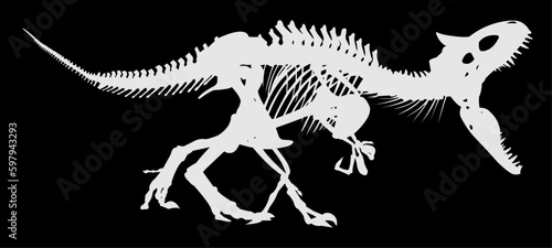 white dinosaur skeleton with open mouth