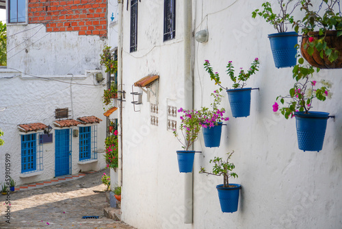white walls with blue doors, a street in town with white houses, blue flower pots