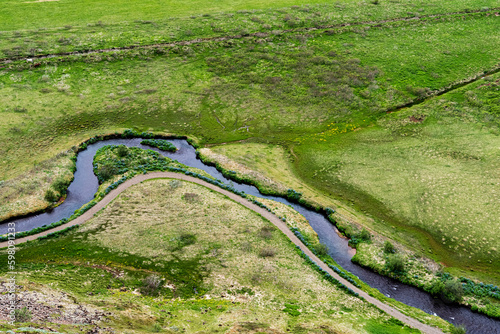 krajobraz Islandii z rzeczką i zielenią