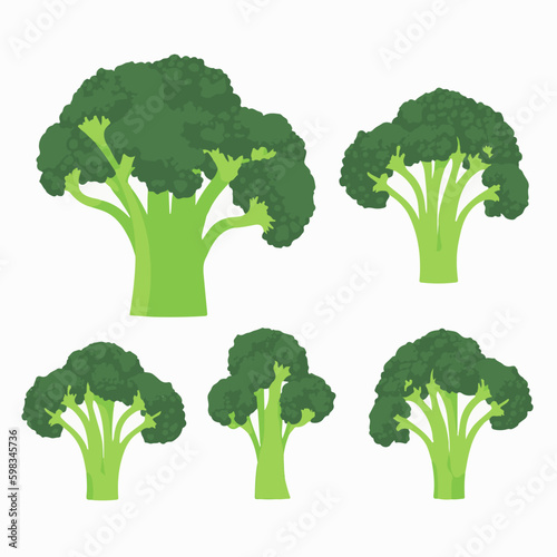Illustrations of broccoli used in healthy food and nutrition education materials