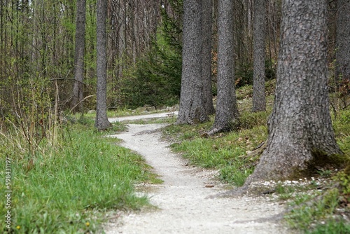 Trasa przeznaczona dla rowerów górskich