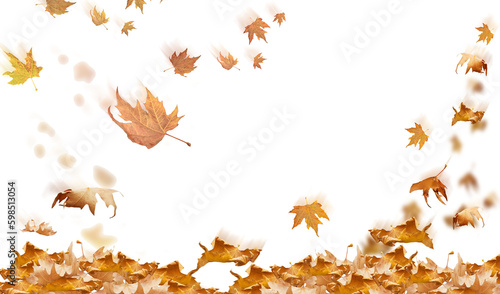 falling leaves in autumn background isolated space for your text