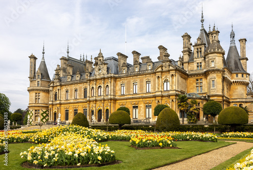 Tulips in the flower beds of the Parterre of the manor in Waddesdon, Buckinghamshire