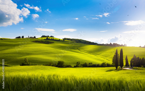 Idyllic summer rural landscape, Tuscany, Italy