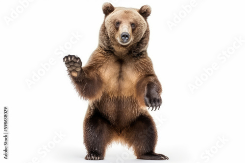 Powerful Majestic Bear Pose. Impressive picture of a big brown bear standing up on hind legs, isolated on a white background. Wildlife concept AI Generative