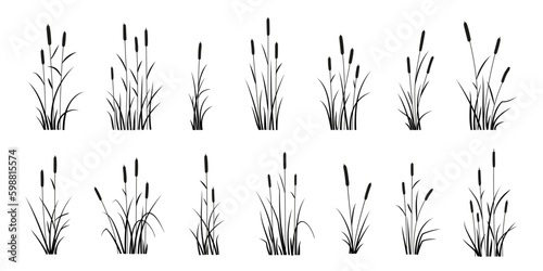 various reed silhouettes