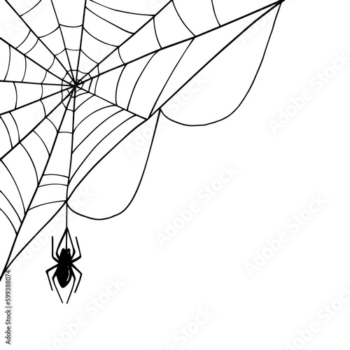 Linear sketch of a corner web with a spider.Vector graphics. 