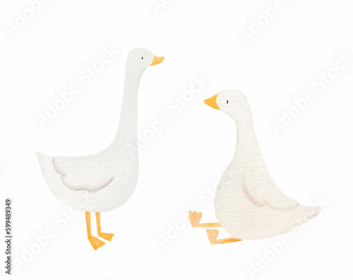 Beautiful stock illustration with hand drawn watercolor cute little goose birds. Clip art.