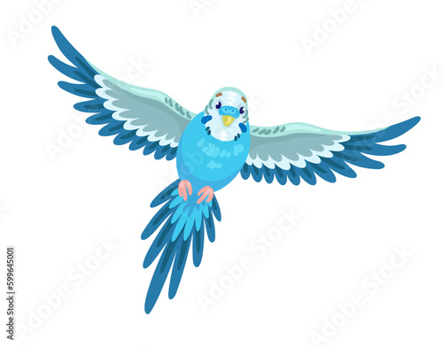 Cute blue budgerigar flies. In cartoon style. Isolated on white background. Vector flat illustration