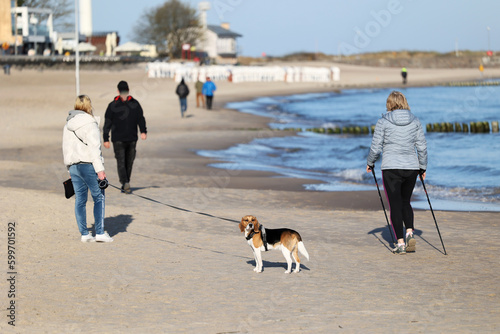 Człowiek z psem na smyczy spaceruje po plaży nad morzem. 