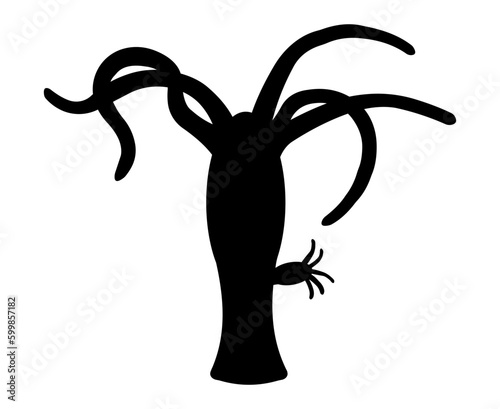 Black silhouette of Freshwater hydra