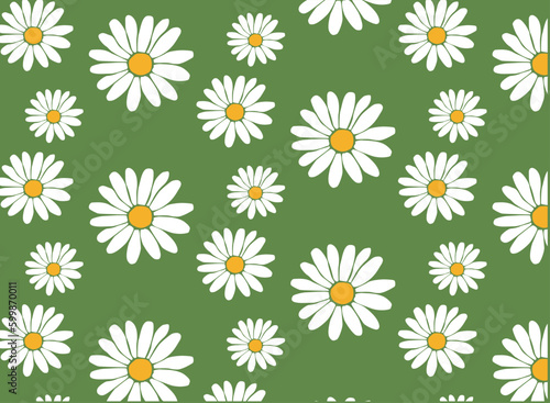 Daisy flowers spring style pattern vintage green wallpaper