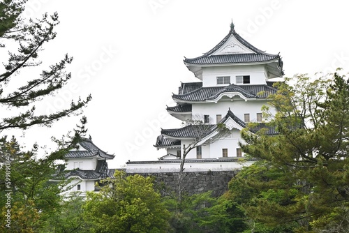 Japan tourism. Iga Ueno castle. Iga city Mie prefecture Japan.