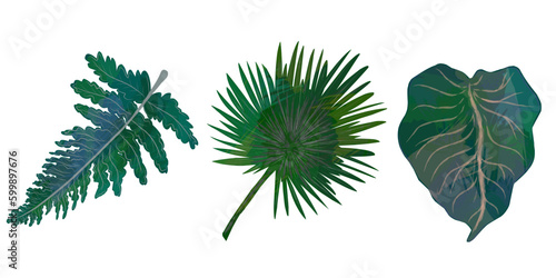 Set of tropical leaves, leaves with texture,. Elements for design