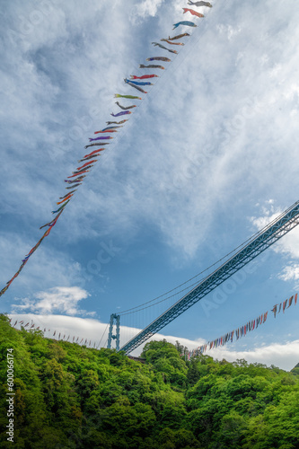 茨城県常陸太田市 新緑の竜神大吊り橋と鯉のぼり