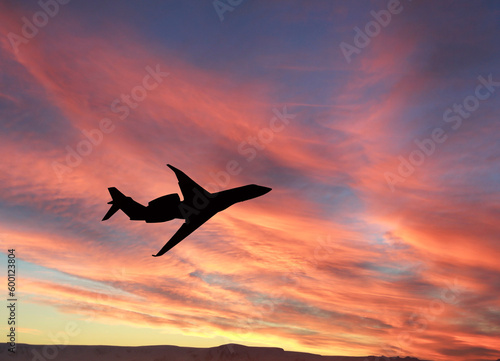 Silhouette of a private executive jet isolated on a plain white background. Backgrounds. Travel concept.