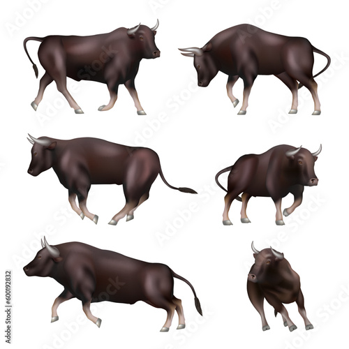 Bull. Animal in action poses aggressive business bull decent vector realistic template