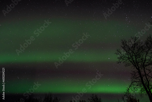 Layers of northern light (aurora borealis)