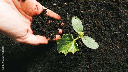 Farmer hand pour topsoil for plants