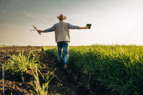 A man walks freely trough his farmland with his arms wide open.