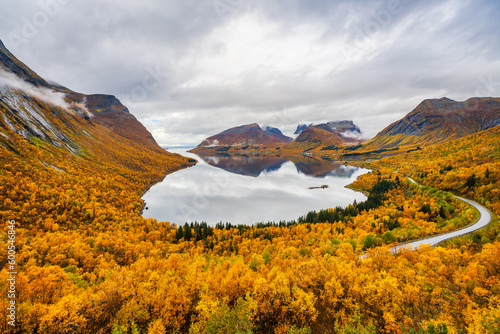 The view over the Nordfjorden in autumn with all the trees in autumn colors is spectacular from the Bergsbotn utsiktsplattform, or viewing platform, in Troms og Finnmark, Norway