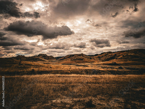 Theodore Roosevelt National Park