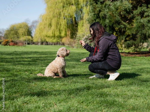 Woman training dog to sit in park